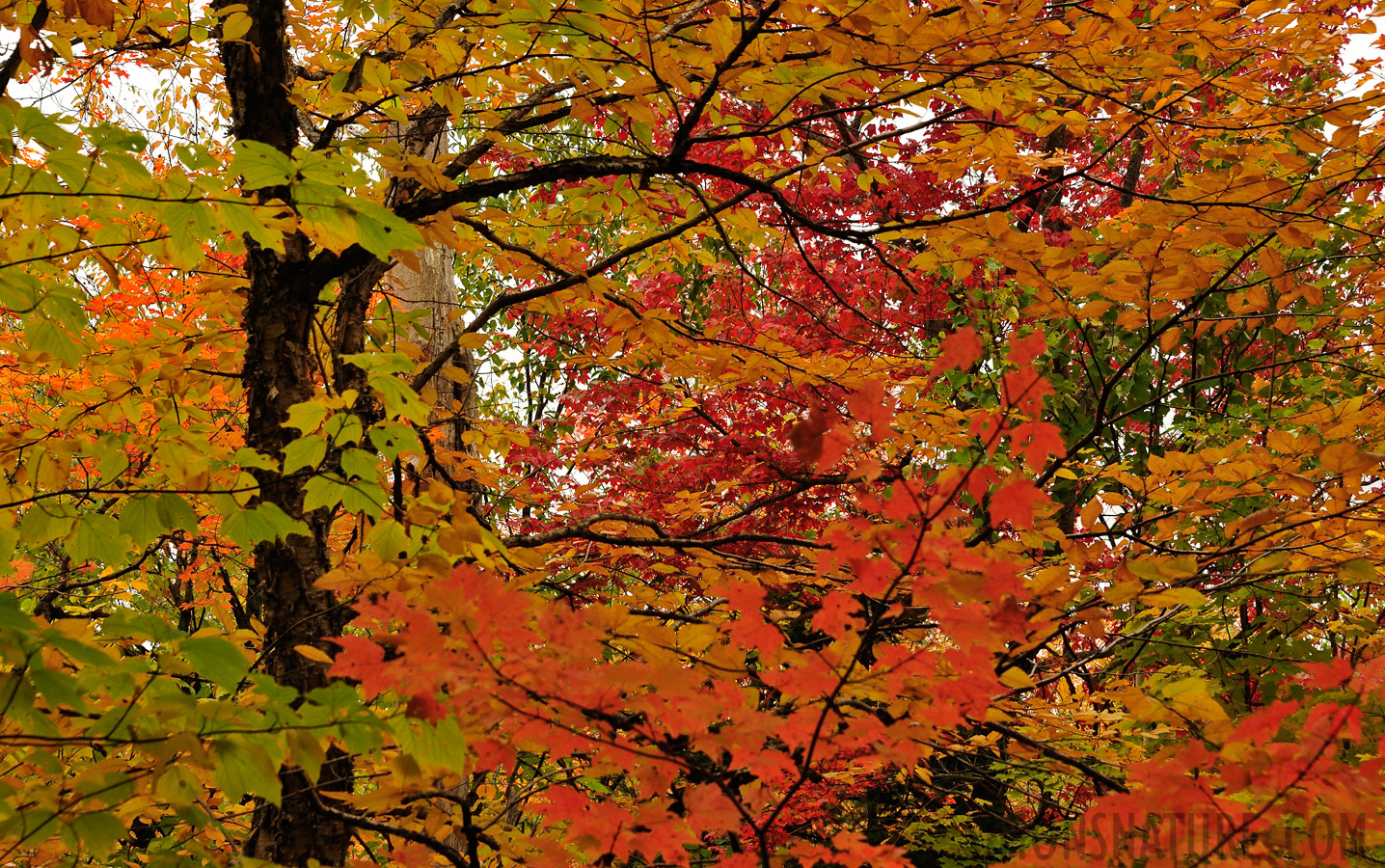 Jericho Mountain State Park [85 mm, 1/640 sec at f / 8.0, ISO 1600]